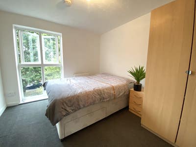 Large En-suite Room In Clean Leafy House Main Photo