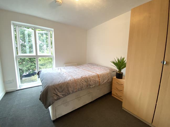 Large En-suite Room In Clean Leafy House Main Photo