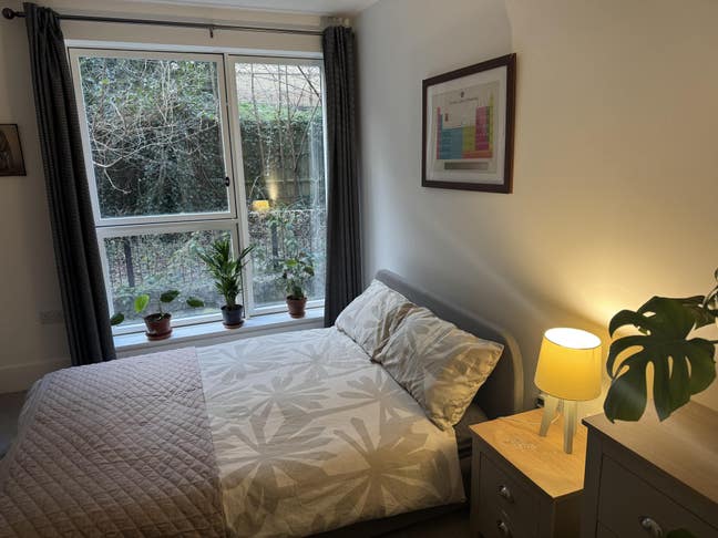 En-suite room in SE19 - 2-3 night per week let  Main Photo
