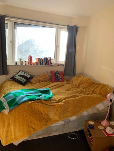 Sublet 18th Dec-5th Jan in a lovely girl house 🏡 🌻 Main Photo