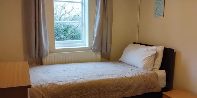 Single Room Available Now! Main Photo