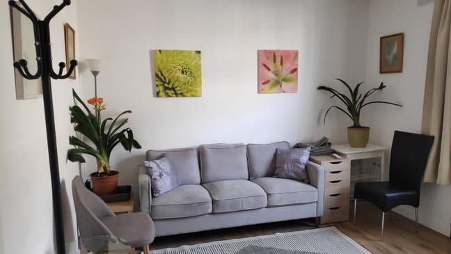 A lovely bright double room in house with garden  Main Photo