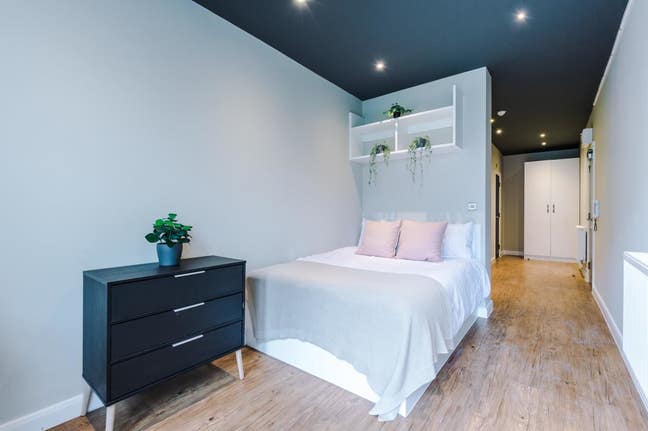 Studio available July 2026 Main Photo