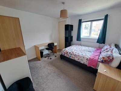 Spacious Double Bedroom in Tidy, Cozy House Main Photo