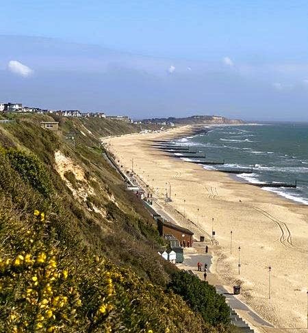 Spacious studio in the heart of Southbourne Main Photo