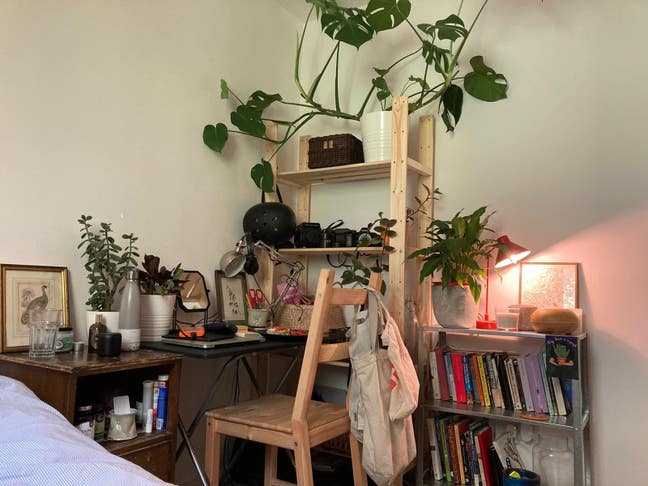 Single Room in queer poc house, N15 Main Photo