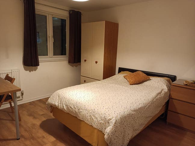 Great room near town centre for a single person  Main Photo