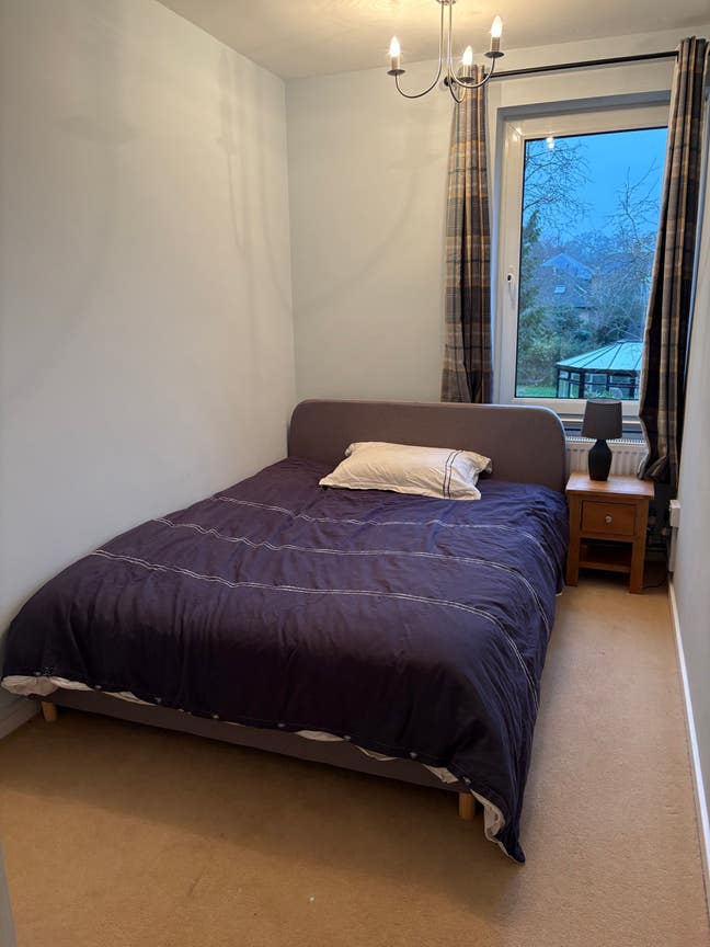Double room available Main Photo