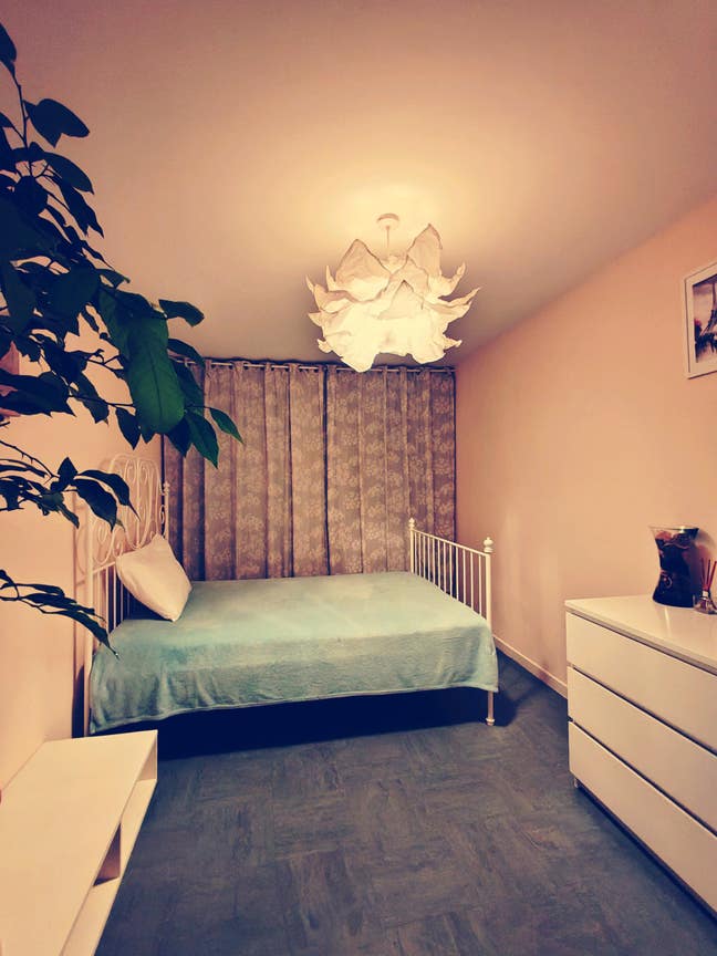 Looking for a flatmate Main Photo