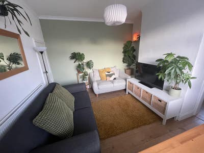 Looking for Lodger (close to town) Main Photo