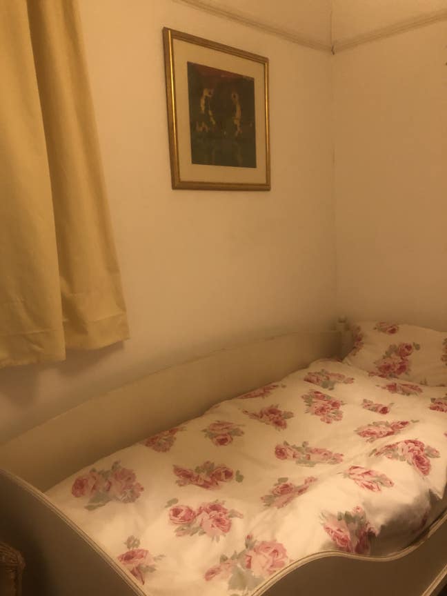 One  Single  Room. Females preferred Main Photo