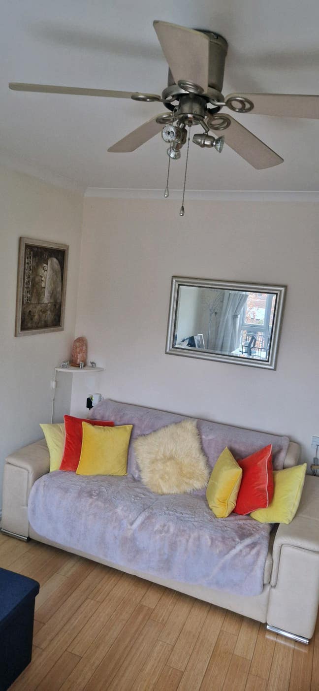 Professional rental - Monday - Friday Rent only  Main Photo