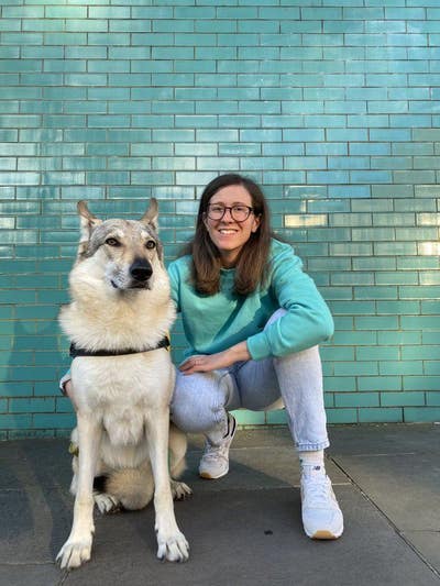 Looking for a studio or double room dog friendly Main Photo