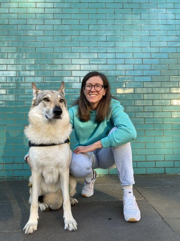 Looking for a studio or double room dog friendly Main Photo