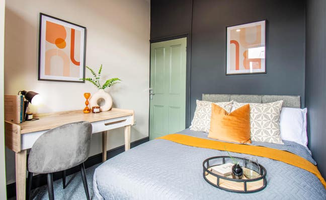 Modern and Stylish Room Main Photo