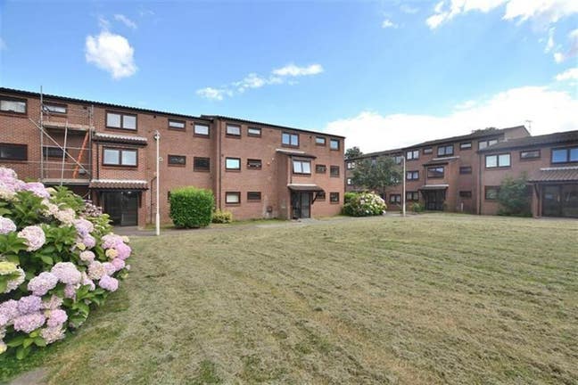 Large 1 bedroom secure flat  Main Photo