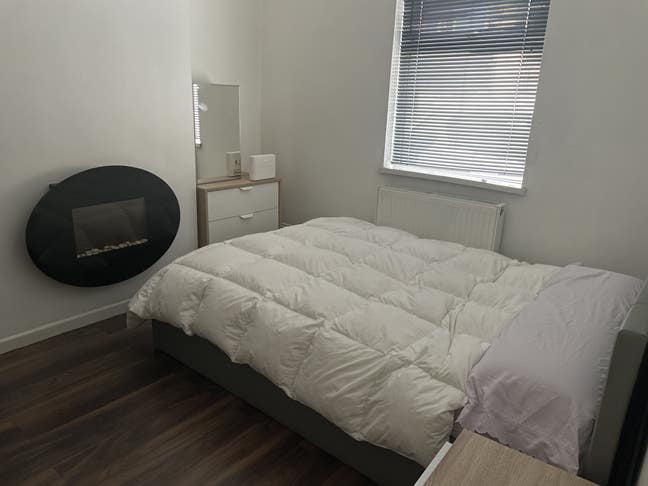 Looking for a flatmate without cat allergies  :) Main Photo