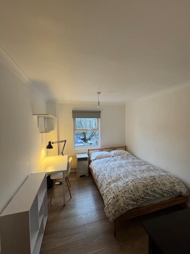 Lovely double room in Hackney  Main Photo