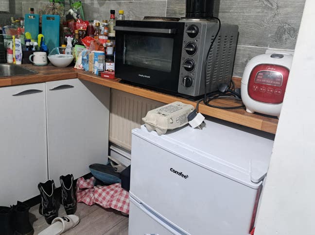 Studio Available kitchen and bathroom included  Main Photo