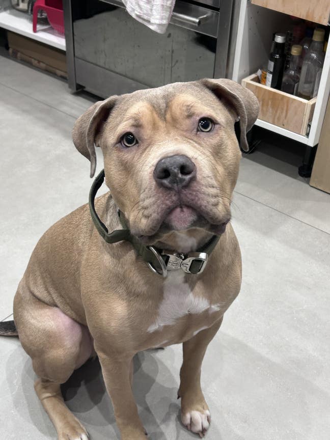 Looking for a room ! Main Photo