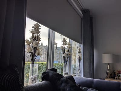 Gorgeous room Main Photo