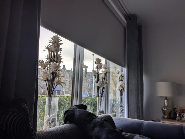 Gorgeous room Main Photo