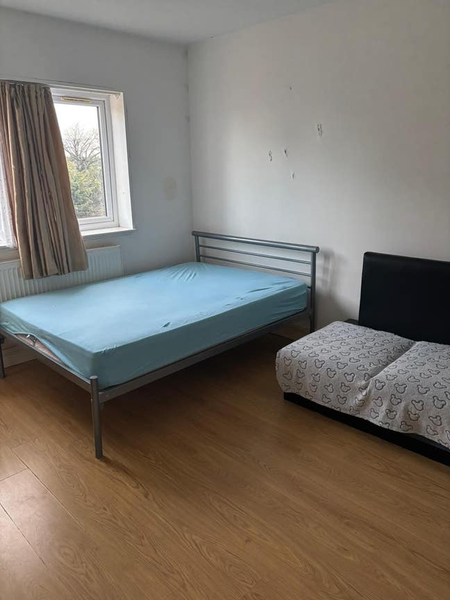 Large Master Double room for rent in N22, London Main Photo