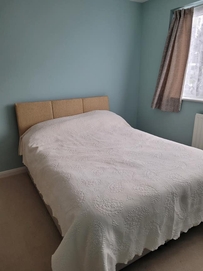 DOUBLE Room  available for vegetarian Female  Main Photo