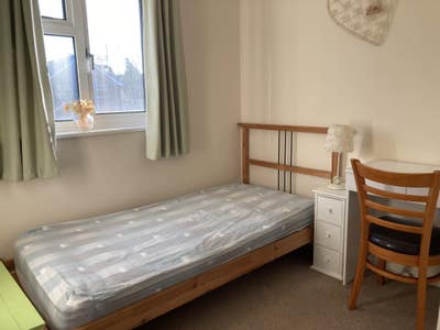Single room to rent Main Photo