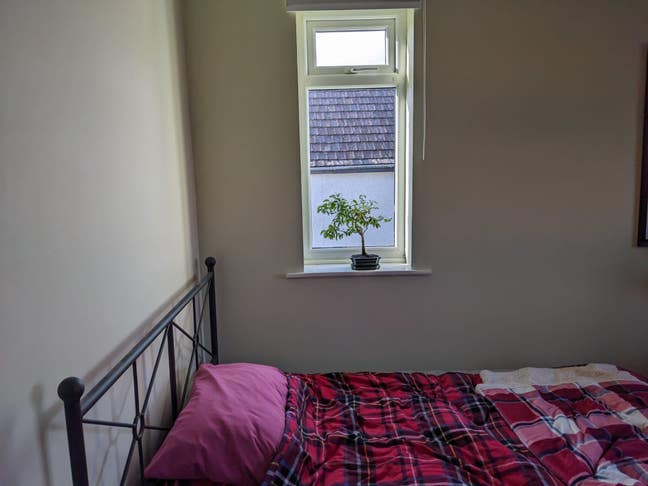 Big double in quiet Stoke Bishop  Main Photo