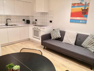 Contemporary 1 Bed Flat in Peckham Main Photo