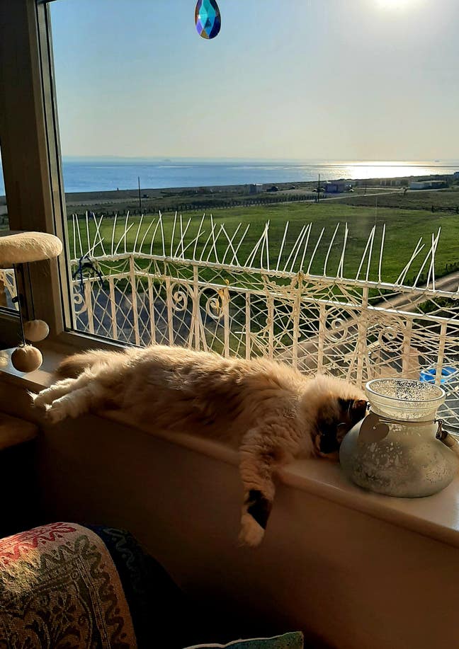 Room to rent with Sea View on the Seafront  Main Photo