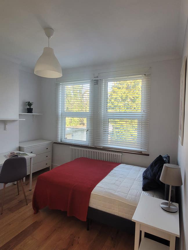 Lovely Single Room Main Photo