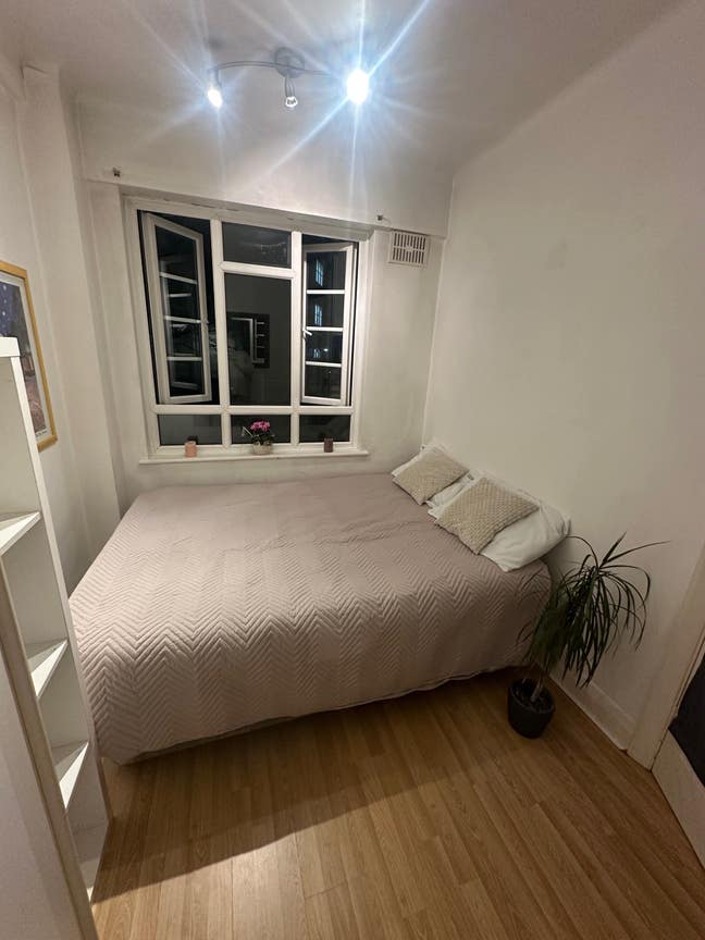 Bright small double room in East Putney 26 July  Main Photo
