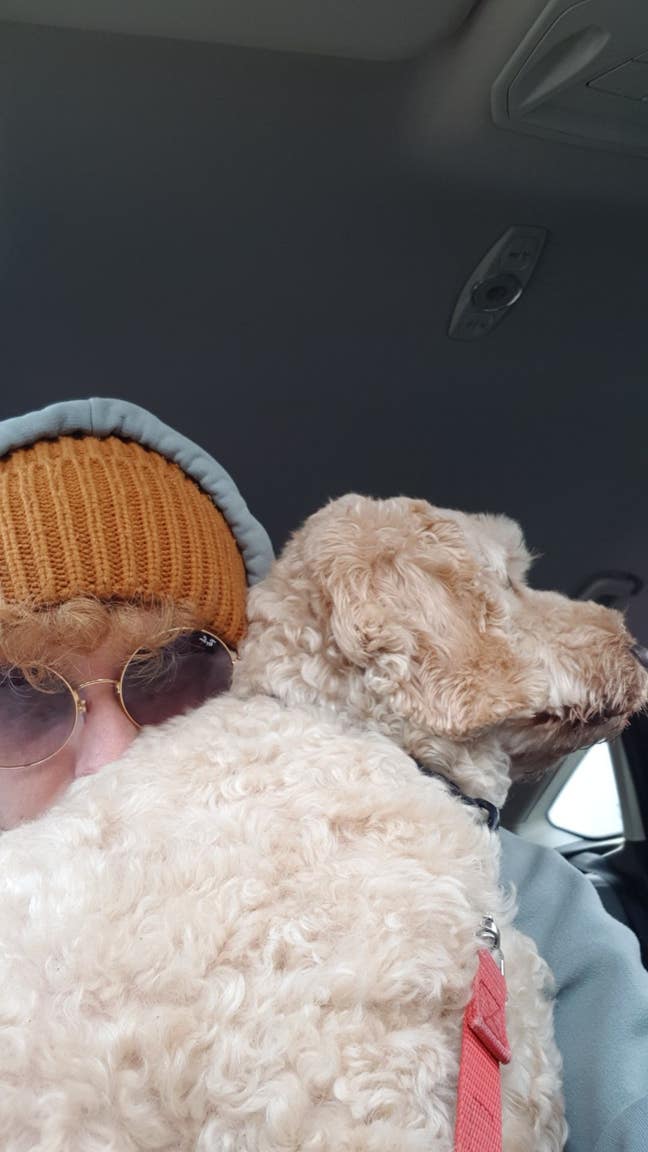 25 Male Looking for room Main Photo