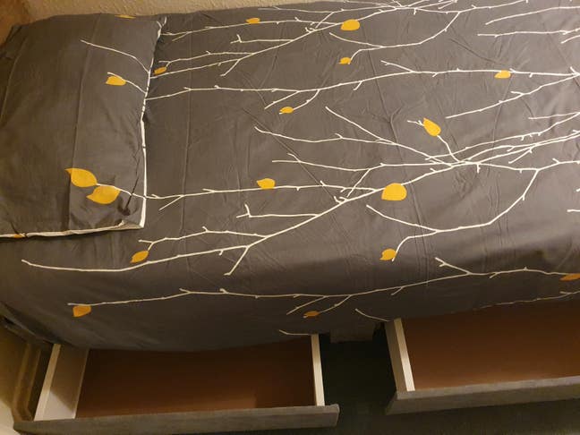 Single room available August 30 2026 Main Photo