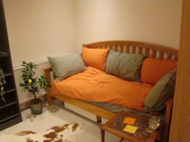 Central London Flat Share Hoxton Main Photo