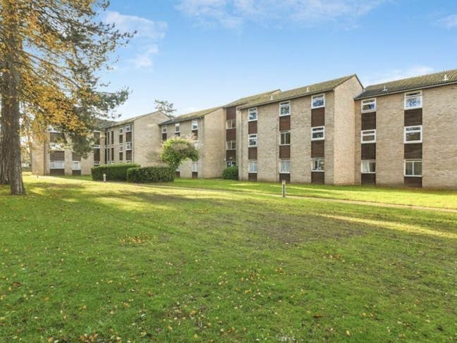 *Central Flatshare near Ipswich Hospital & Adastra Main Photo