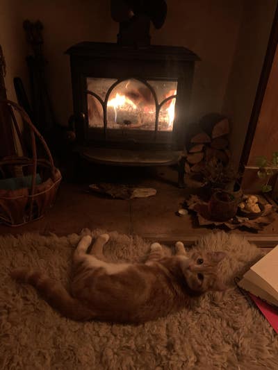 SUBLET 09/12-25/01 beautiful double in Bishopston Main Photo