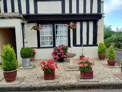 Single Room Available Now! Main Photo