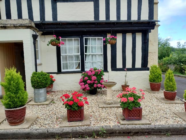 Single Room Available Now! Main Photo