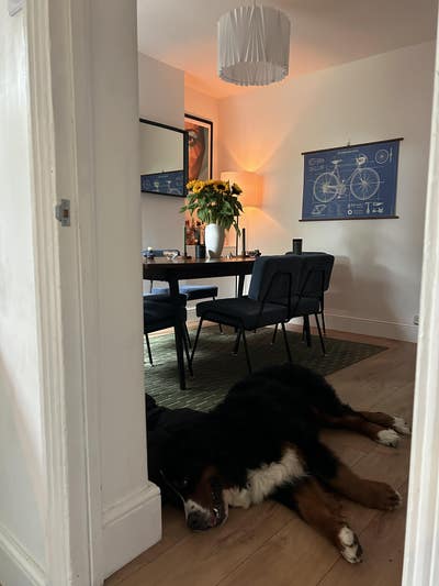 Short/flex room on Lloyd Park - LGBT, Dog Lover Main Photo