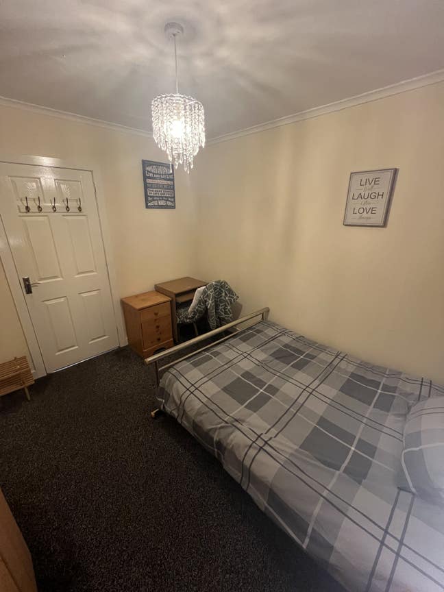 Comfortable Clean Room Available  Main Photo