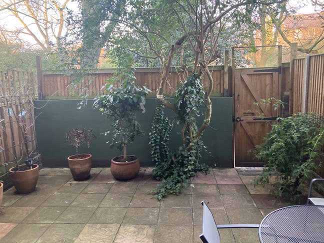 Single Room  Main Photo