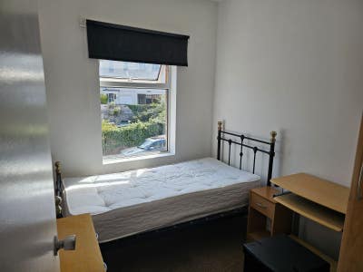 Single room available in BH2 Main Photo