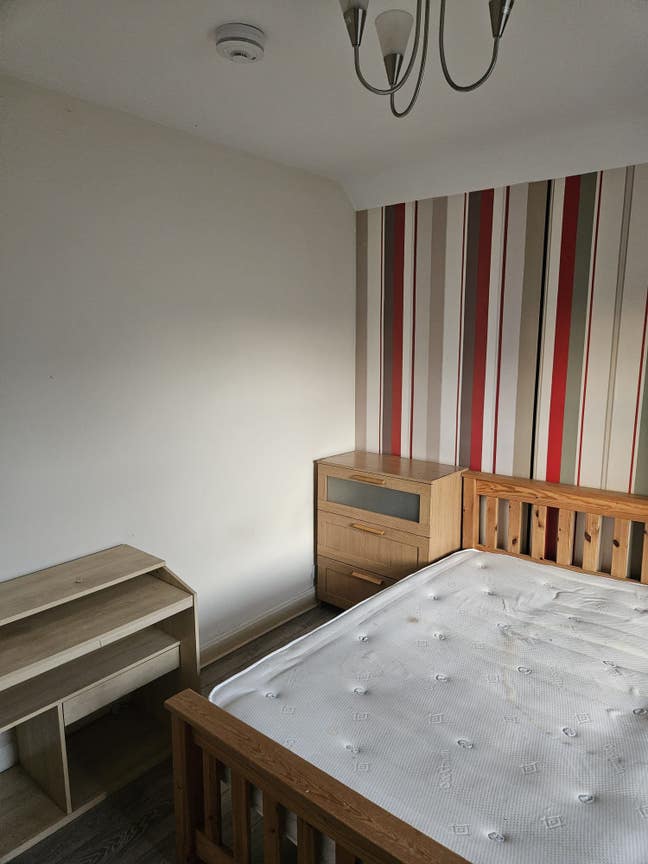 Nice clean cozy rooms Main Photo