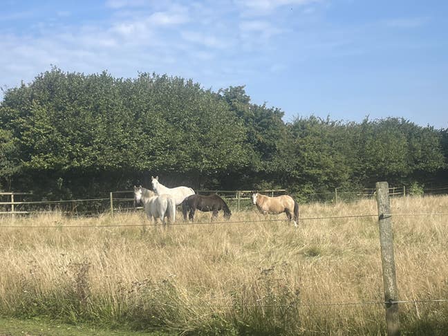 Studio flat available  Main Photo