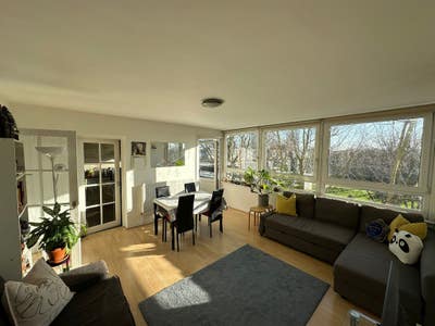 Sunny Room in South London Main Photo