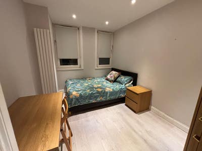* 3 x  doubles, garden flat Clapham Junction ! * Main Photo