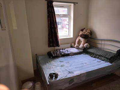 Room available from 1st of june Main Photo